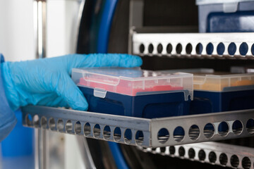 Young female scientist sterilizing laboratory material in autoclave