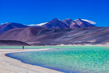 Laguna Salar de Talar with the Andes Mountain, San Pedro de Atacama, Antofagasta Region, Chile