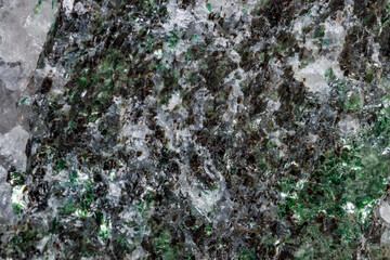 Macro mineral stone Fuchsite on a white background