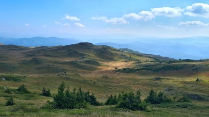 Landscape on mountain Jahorina, golden meadows and field of blueberries in the valley, Bosnia and Herzegovina