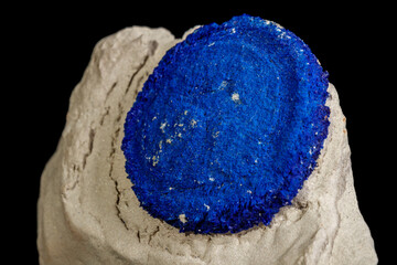 Macro mineral stone Azurite in siltstone against black background