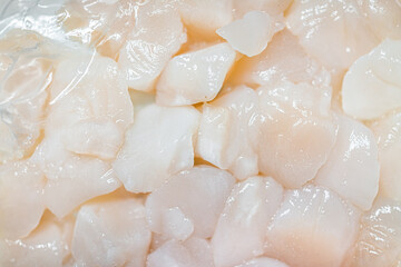Fototapeta na wymiar Macro closeup of fresh raw uncooked scallops seafood food on retail display in supermarket store