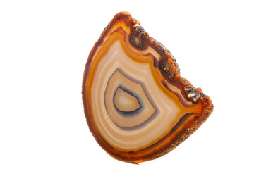 Macro mineral stone Yellow, brown Agate breed a white background