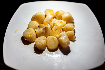 Macro closeup of fresh cooked grilled or fried sea wild scallops seafood in white plate on table at restaurant with black dark background