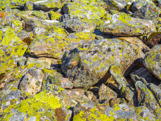 Stone rock texture with green moss and lichen in Norway.