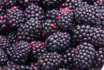 Blackberries background, ripe fresh berries macro photo