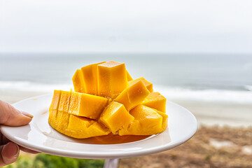Closeup side view of hand holding white plate with cubed sliced in half cubes of fresh yellow ripe...