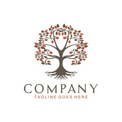 Tree of Life, oak banyan leaf and root seal emblem stamp logo