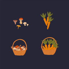 A set of elements of the autumn forest. Basket with carrots and mushrooms woodland illustration. A collection of mushrooms and foliage for autumn design. Vector illustration