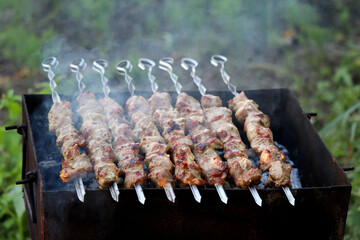 Kebab on the grill outdoors, meat cooking on charcoal on a nature