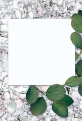 Fresh spring green leaves on light marble background with silver glitter.  Summer concept, flat lay, top view.