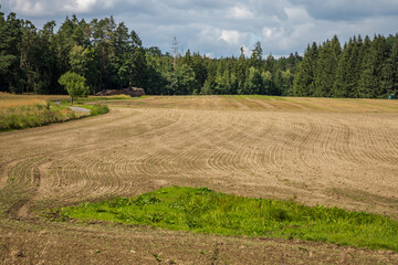 plowed field with a path on the edge of the forest