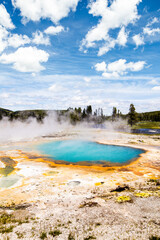 Yellowstone Geyser