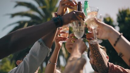 summer party friends making toast celebrating friendship reunion drinking enjoying weekend gathering having fun celebration relaxing on weekend 