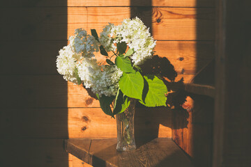 White flowers in a crystal vase in the rays of light
