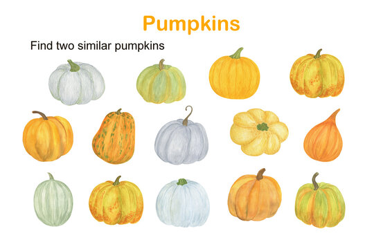 Find Two Similar Pumpkins Educational Activity For Children, Fall Autumn Puzzle Game, Simple Watercolor Illustration Worksheet For Fun And Leisure Time