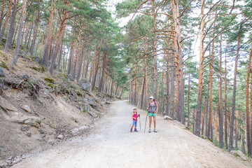 Obraz premium mother and daughter, five years old girl, with caps and trekking sticks, hiking on trail in forest of Canencia mountain (Madrid, Spain, Europe) 