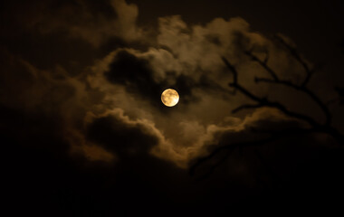 halloween full moon amidst gloomy clouds and leafless tree branches creating a spooky and mysterious atmosphere.