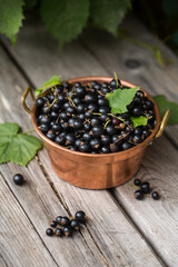 Fototapeta na wymiar Black currant in copper bowl on wooden background, berry picking, harvest season