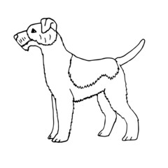 Vector hand drawn doodle sketch fox terrier dog isolated on white background