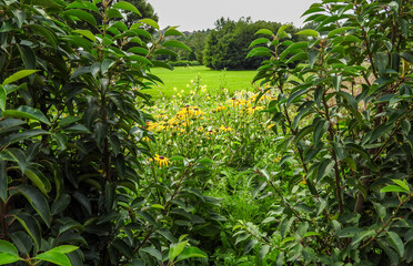 Garden in Alexandra Park Oldham