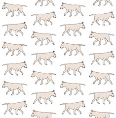 Vector seamless pattern of hand drawn doodle sketch colored bull terrier dog isolated on white background