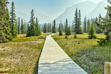 Landscapes along the shores of Abraham Lake and the South Saskatchewan River in the Canadian Rocky...