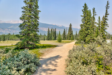 Landscapes along the shores of Abraham Lake and the South Saskatchewan River in the Canadian Rocky...