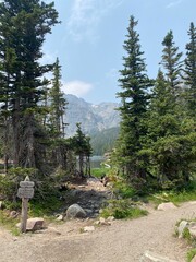 trail in the mountains