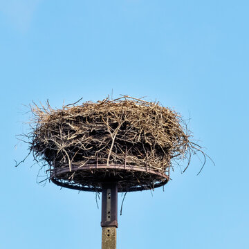A man-made stork nest platform - Choczewo, Pomerania, Poland