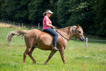 Pferd mit Reiterin/Besitzerin