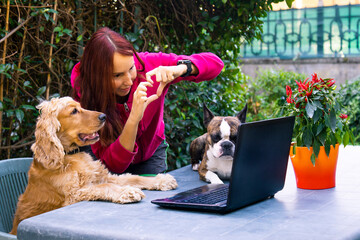 woman communicates using a video call on a laptop in a summer garden, next to her her dogs cocker spaniel and boston terrier. she shows a heart sign made of fingers