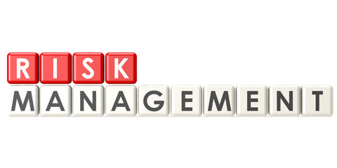 Risk management crossword cube