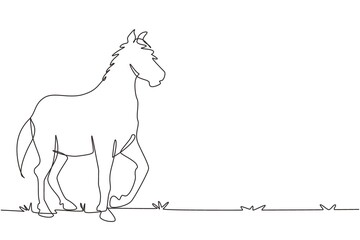 Single one line drawing running horse sketch of Arabian stallion. Galloping purebred horse of Arabian breed. Horse racing symbol, equestrian sport badge. Continuous line draw design graphic vector © Simple Line