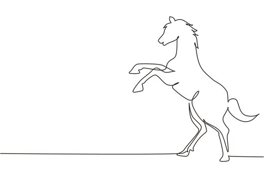 recommend clip art: Single continuous line drawing rearing up wild horse. Strong character. Equestrian jumping training. Horse racing logo symbol, equestrian sport badge. One line draw graphic design vector illustration