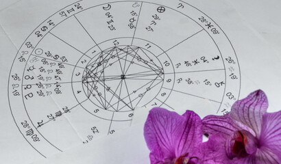 Printed natal chart with orchids in the foreground