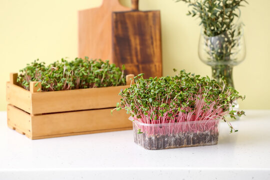 Plastic container and wooden box with fresh micro green on table