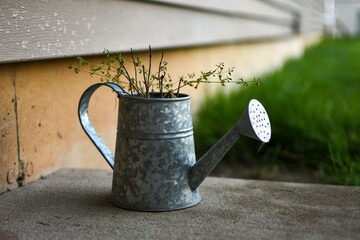 watering can in garden