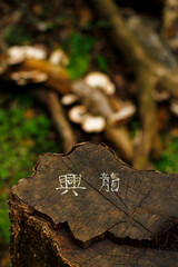 earth message