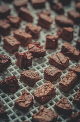 Dried pieces of meat in the tray of an electric dryer. Preparation of dehydrated meat for storage. Top view, vertical composition, close-up