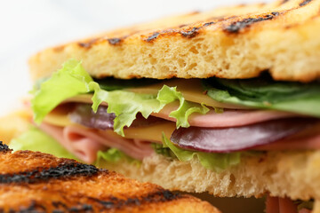 Tasty sandwich on light background, closeup