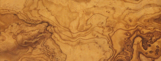 Natural olive wood with beautiful wood grain may used as background