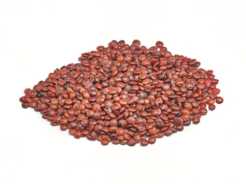 Zizyphus jujube benevolence, One of the herbal ingredients used in Chinese medicine