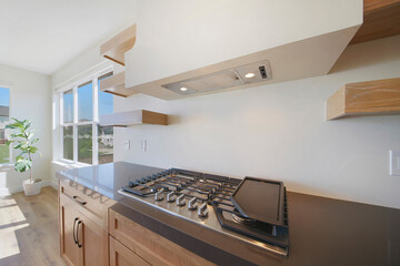 Well lit modern contemporary kitchen interior with wood