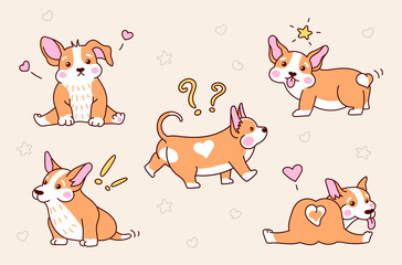 Set of cute corgi puppy in different poses. Vector illustration in cartoon style