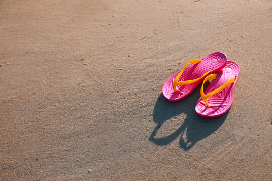 Stylish flip flops on beach. Space for text