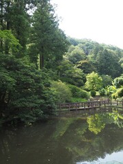 Fototapeta premium Walk in Kiryu's Azuma Park