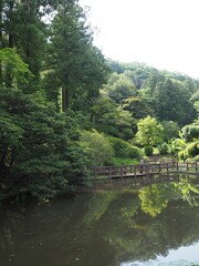 Fototapeta premium Walk in Kiryu's Azuma Park