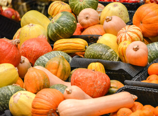 Various pumpkins, squash and gourds for sale at a farmer's market