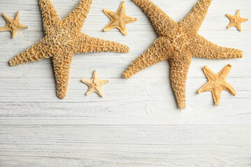 Beautiful sea stars on white wooden background, flat lay. Space for text